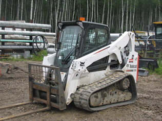 white bobcat